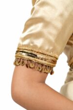Mayurika- Sona Chamak Saree - Image 4